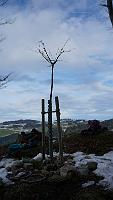 2013 12 22 A
